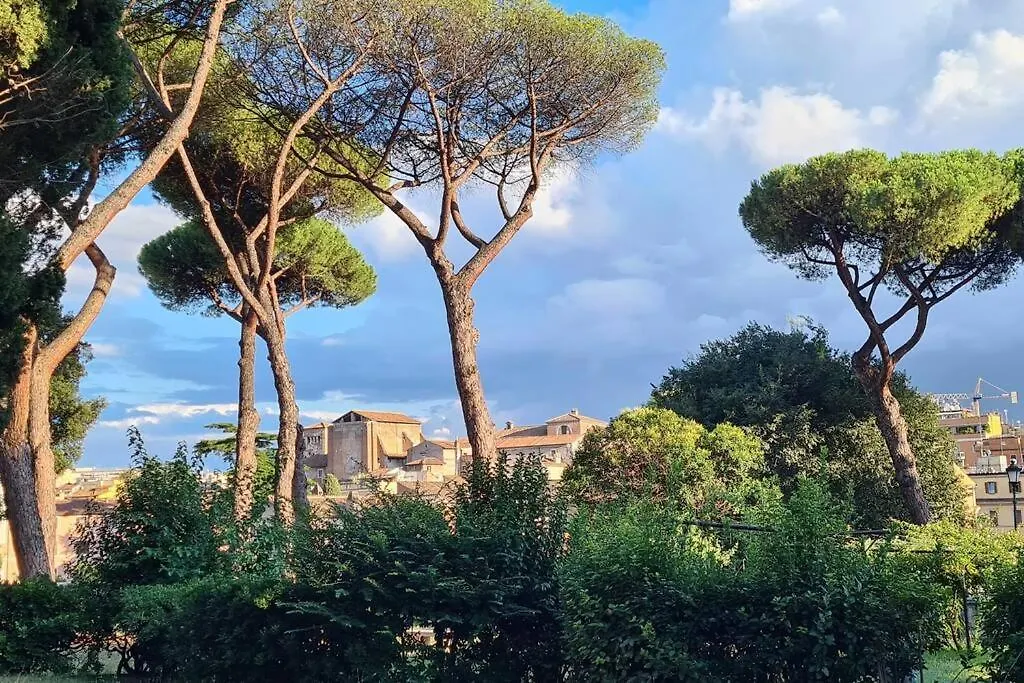 Vintage Colosseo Apartment Rome Italy